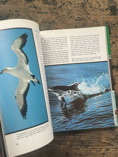 1973 The Ocean World Of Jacques Cousteau Vol 10 Book - Diamonds & Rust