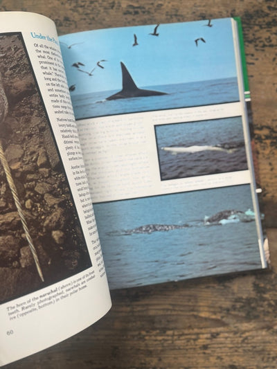 1973 The Ocean World Of Jacques Cousteau Vol 16 Book - Diamonds & Rust