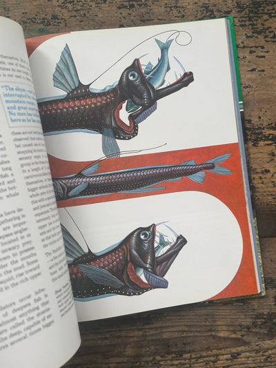 1973 The Ocean World Of Jacques Cousteau Vol 3 Book - Diamonds & Rust