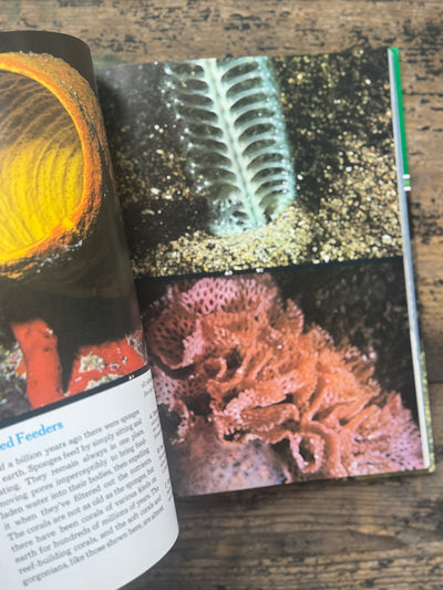 1973 The Ocean World Of Jacques Cousteau Vol 3 Book