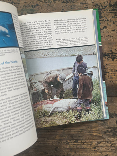 1973 The Ocean World Of Jacques Cousteau Vol 10 Book