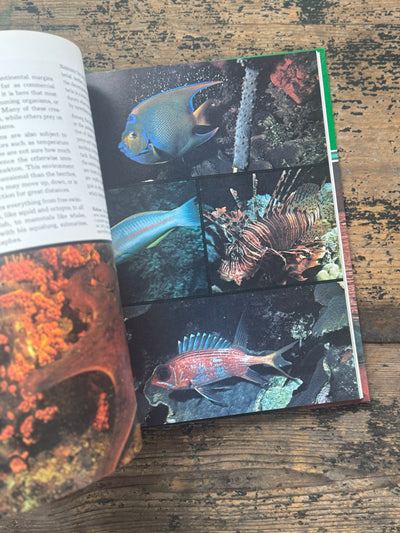 1973 The Ocean World Of Jacques Cousteau Vol 11 Book