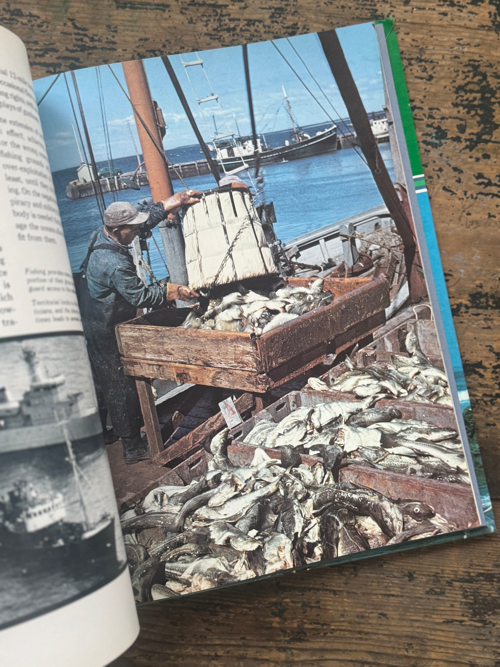 1973 The Ocean World Of Jacques Cousteau Vol 19 Book