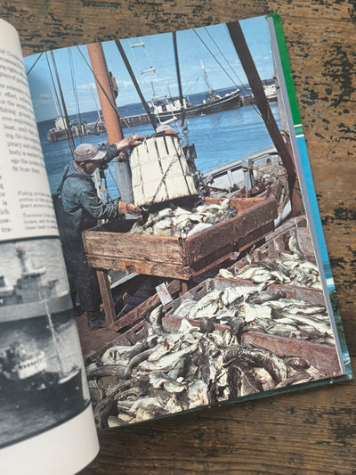 1973 The Ocean World Of Jacques Cousteau Vol 19 Book