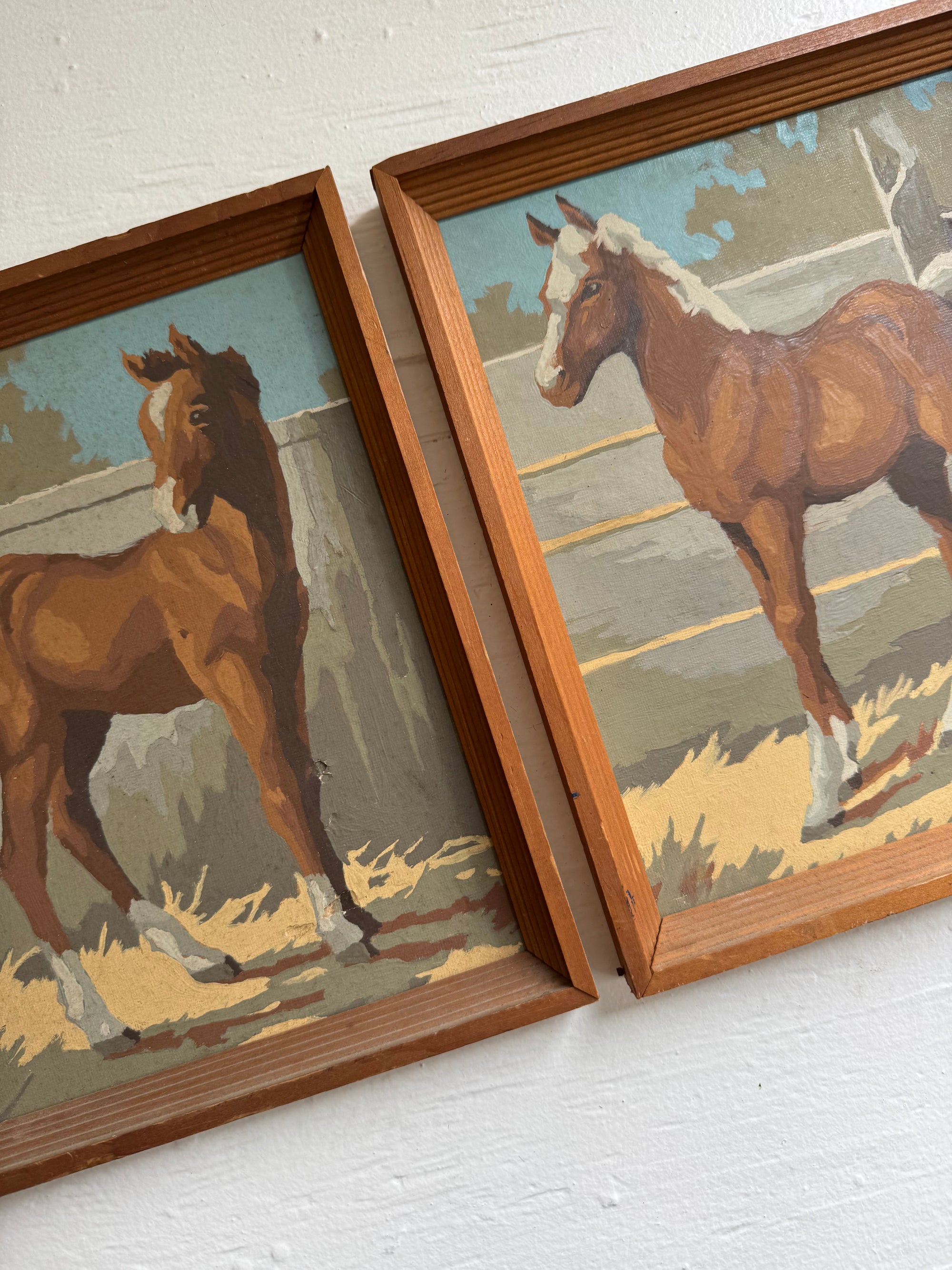 Paint By Numbers Horse - Brown Pony Tail