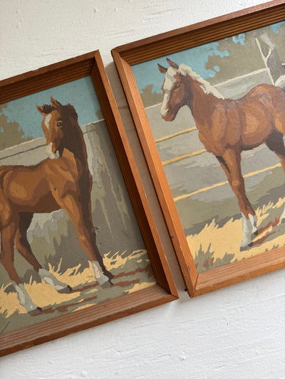 Paint By Numbers Horse - Brown Pony Tail