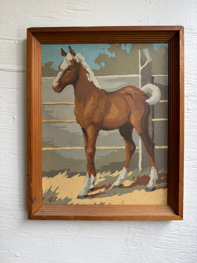 Paint By Numbers Horse - White Pony Tail