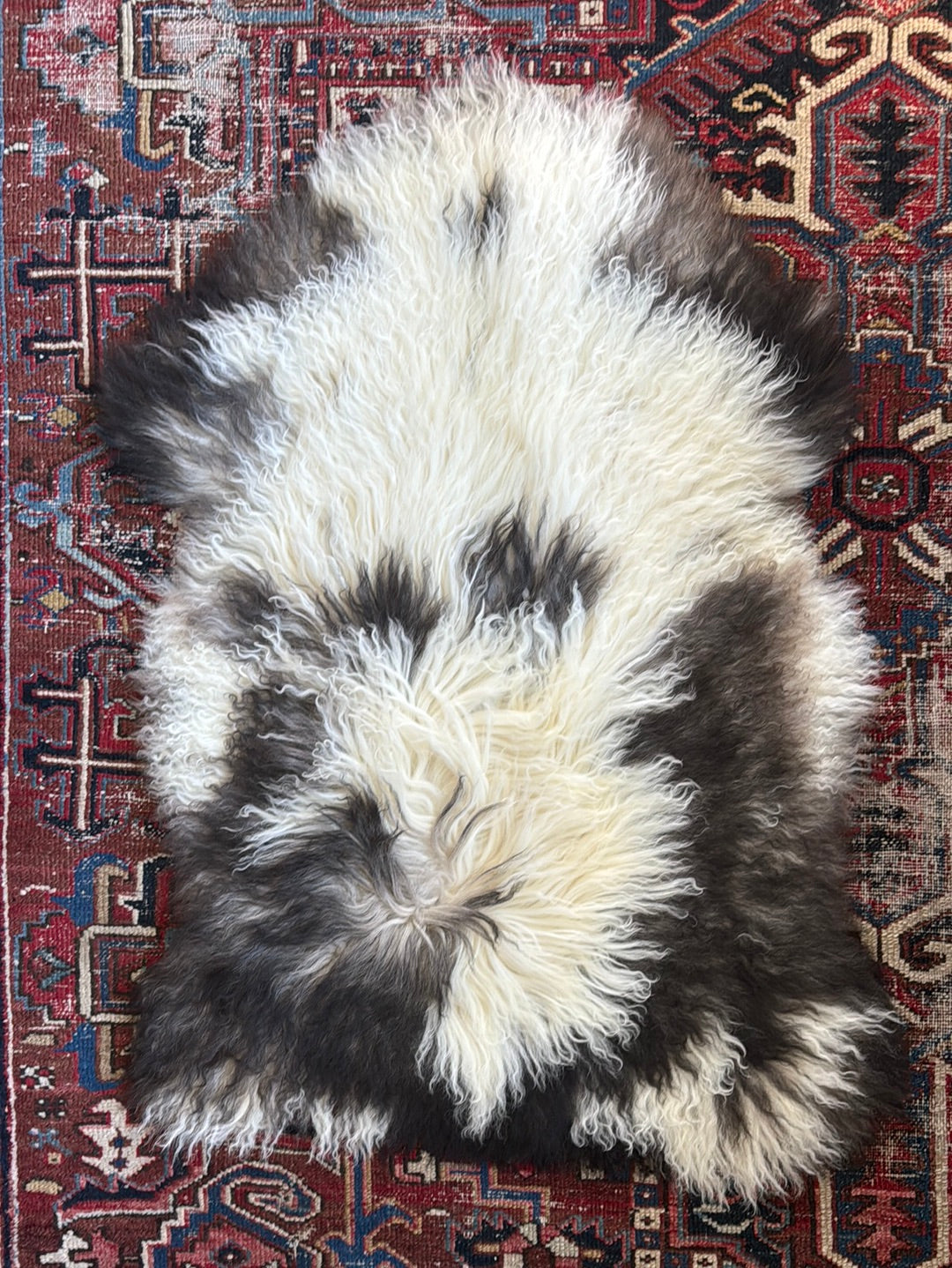 Sheep Skin - Brown + White