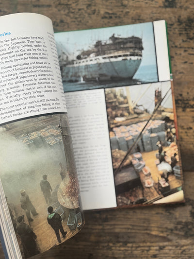 1973 The Ocean World Of Jacques Cousteau Vol 17 Book