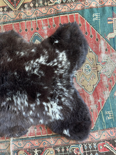 Sheep Skin - Brown + White