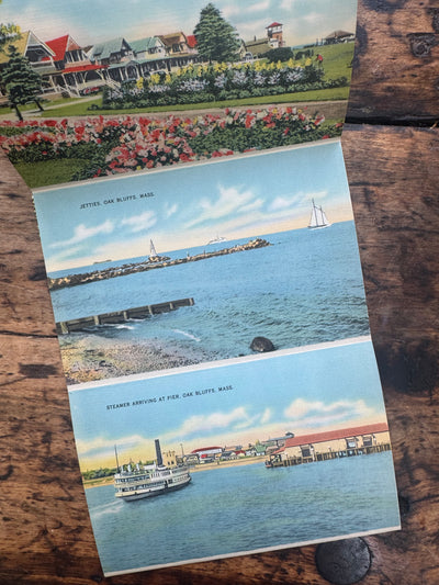 Vintage Oak Bluffs, Mass. Post Cards