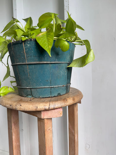 Vintage Scrubbed Pine Stool