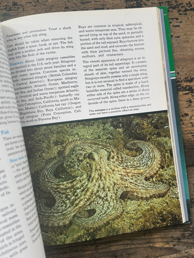 1973 The Ocean World Of Jacques Cousteau Vol 20 Book