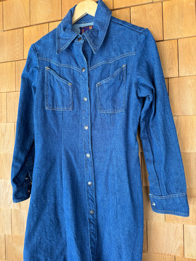 Vintage Land Lubber Denim Dress