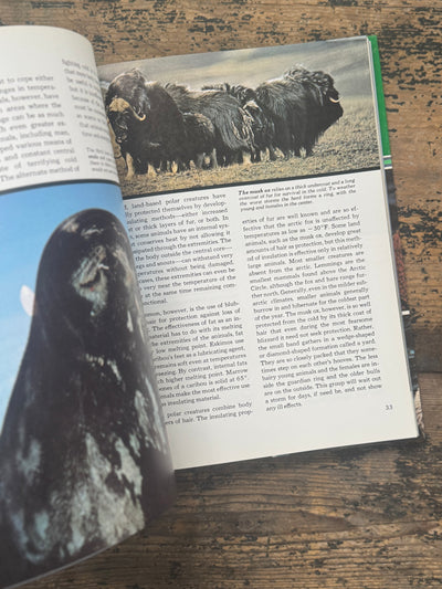 1973 The Ocean World Of Jacques Cousteau Vol 16 Book