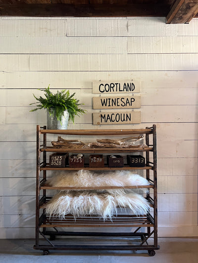 Primitive Shoe Cobblers Rack – Beautiful Patina