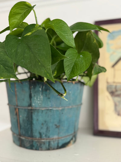 Antique Wood Bucket - Painted Blue
