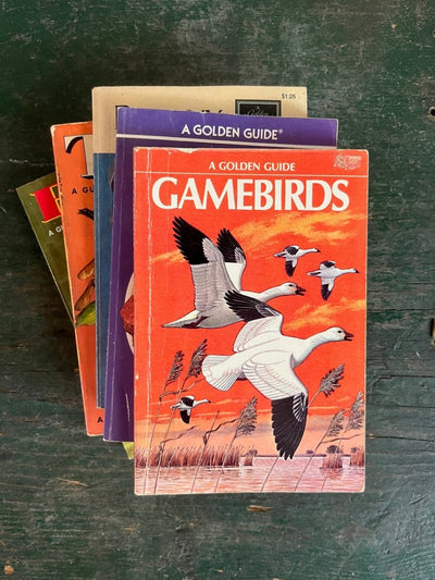 A Golden Guide Book - Game Birds - Diamonds & Rust