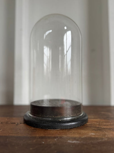 Antique Glass Bell Jar - Diamonds & Rust