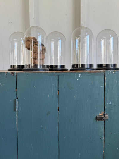 Antique Glass Bell Jar - Diamonds & Rust