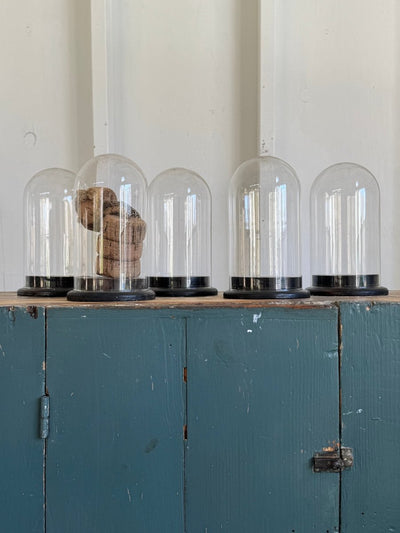 Antique Glass Bell Jar - Diamonds & Rust