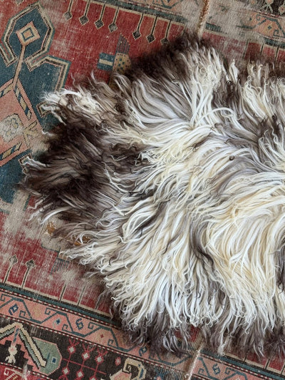 Curlcoat Sheep Skin - Diamonds & Rust