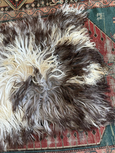 Curlcoat Sheep Skin - Diamonds & Rust