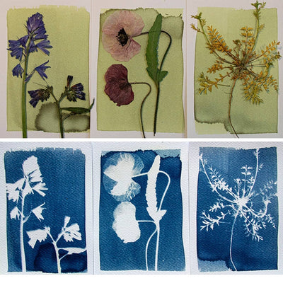 Cyanotype Kit – DIY - Diamonds & Rust