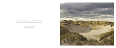 Dune Shacks of Provincetown - Diamonds & Rust