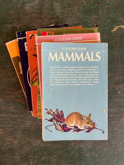 A Golden Guide Book - Mammals