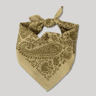 Natural Dye Silk Bandana - Chebula - Diamonds & Rust
