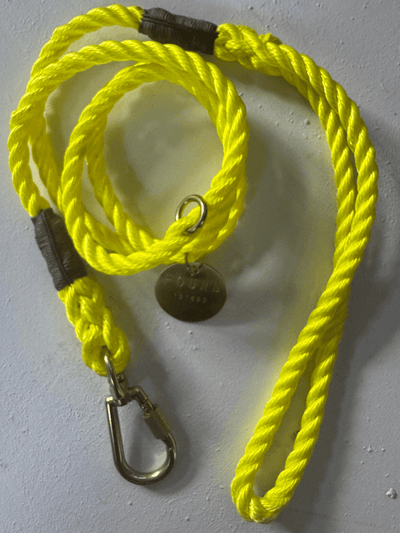 Saftey Yellow Rope Dog Leash - Diamonds & Rust