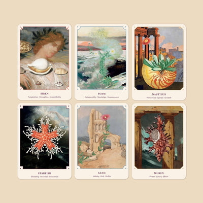 The Seashell Oracle: 44 Card Deck and Guidebook - Diamonds & Rust