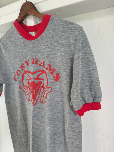Vintage 80s Cony Rams Ringer Tee Shirt - Diamonds & Rust
