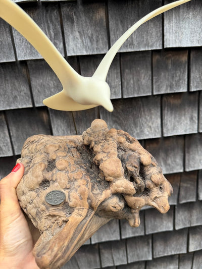 VTG 1970s Seagull Drift Wood Sculpture - Diamonds & Rust
