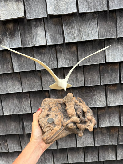 VTG 1970s Seagull Drift Wood Sculpture - Diamonds & Rust
