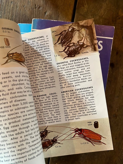 1966 A Golden Guide - Insect Pests - Diamonds & Rust