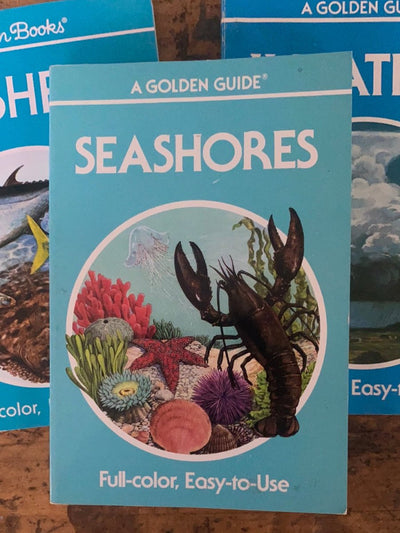 1987 A Golden Guide - Seashores - Diamonds & Rust