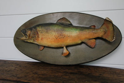 Vintage Taxidermy Trout - Diamonds & Rust