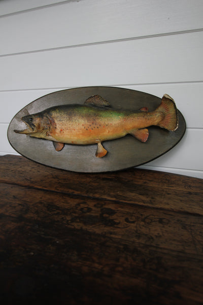 Vintage Taxidermy Trout - Diamonds & Rust