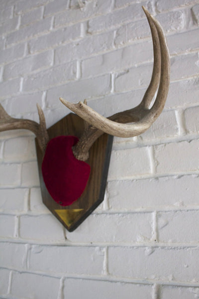 8 Point Mounted Antlers - Diamonds & Rust