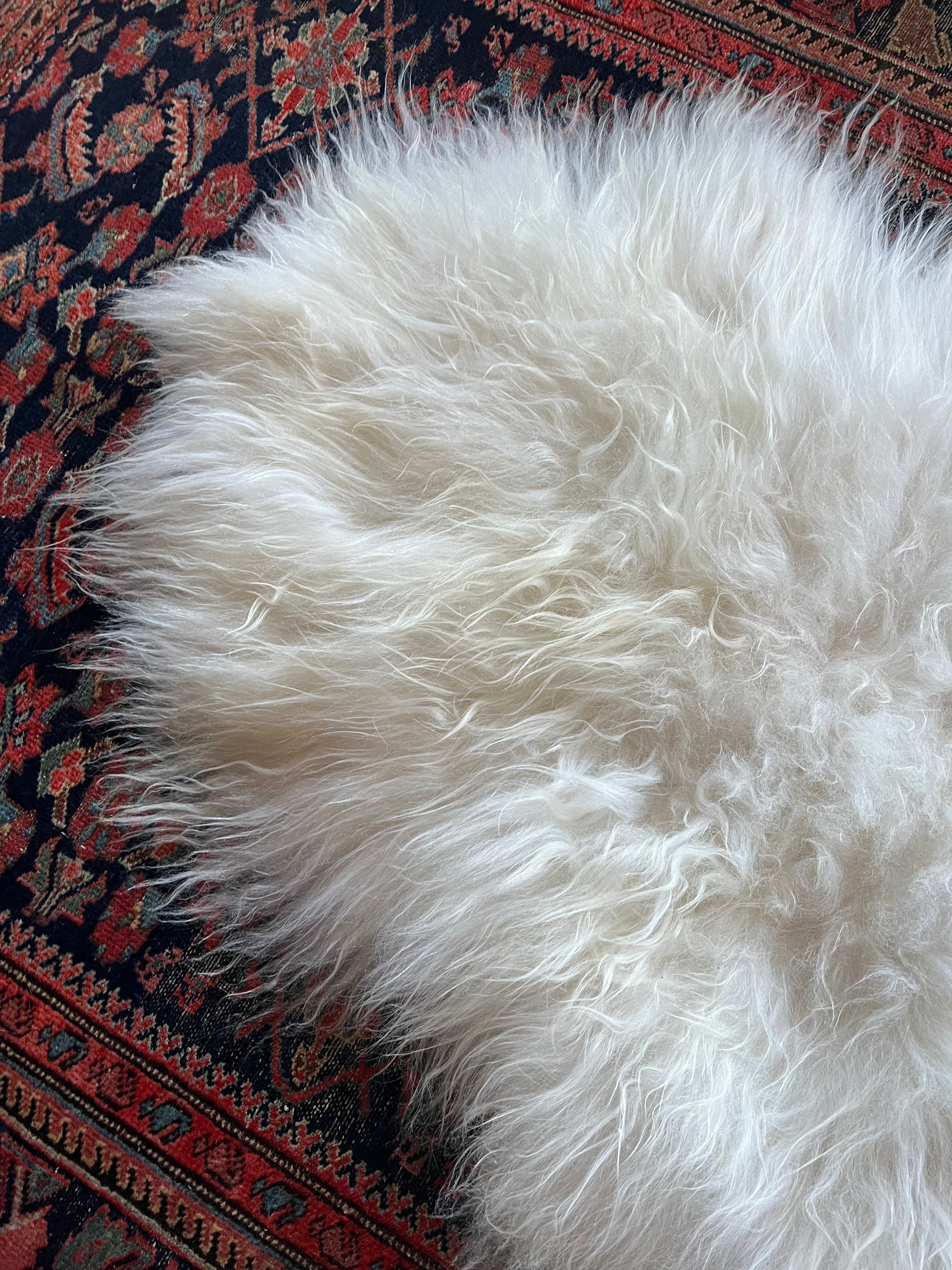 Sheep Skin
