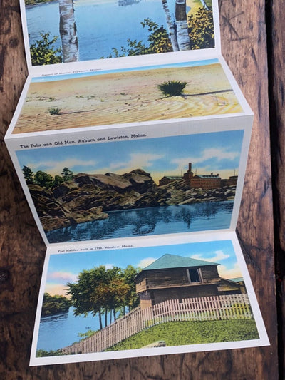 Vintage MAINE Post Cards - Diamonds & Rust