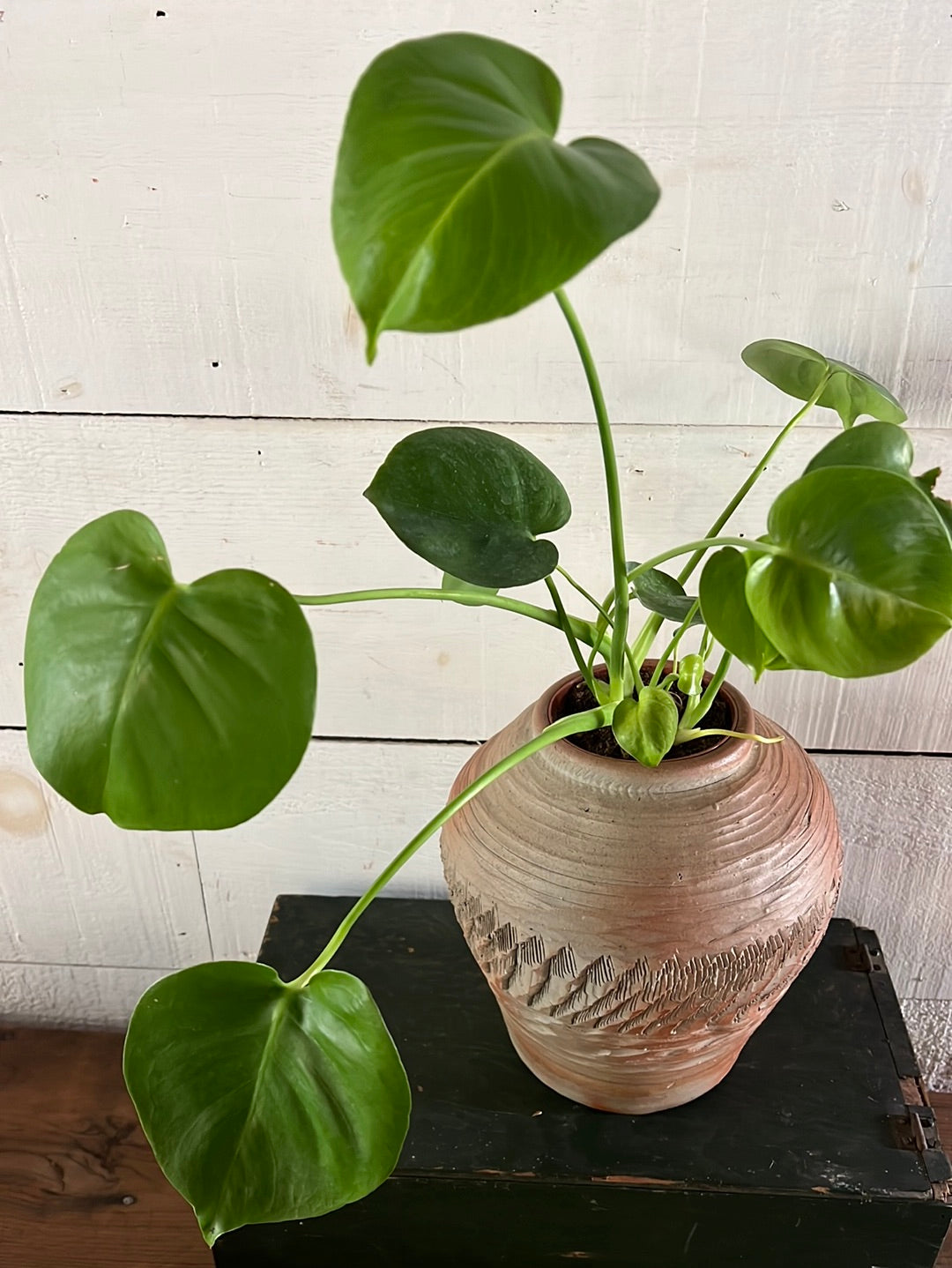 Vintage Handmade Terracotta Vase