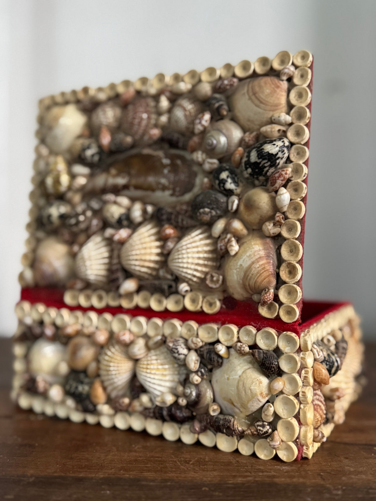 Vintage Encrusted Shell Box Art - 4