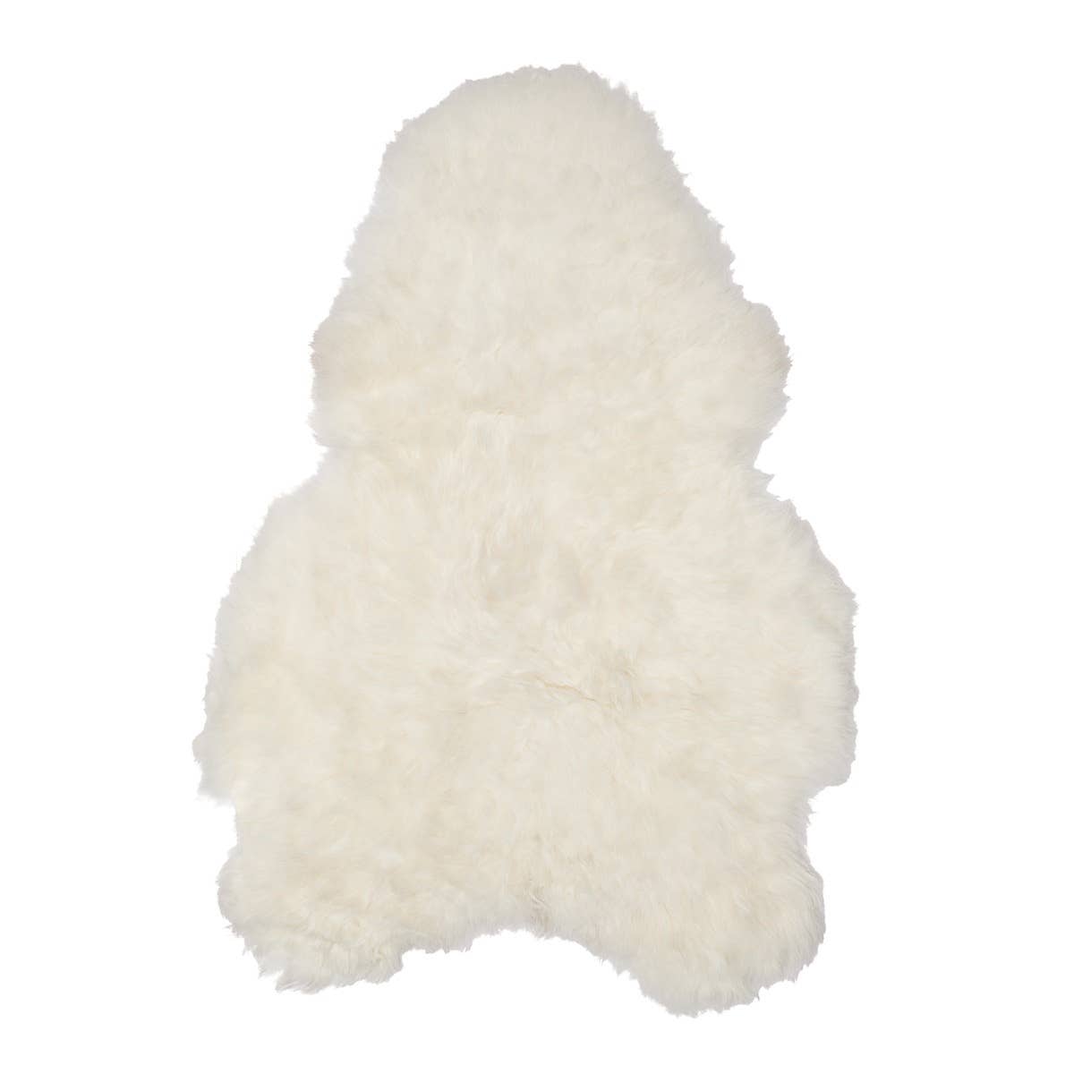 Icelandic Sheep: Single Shorn