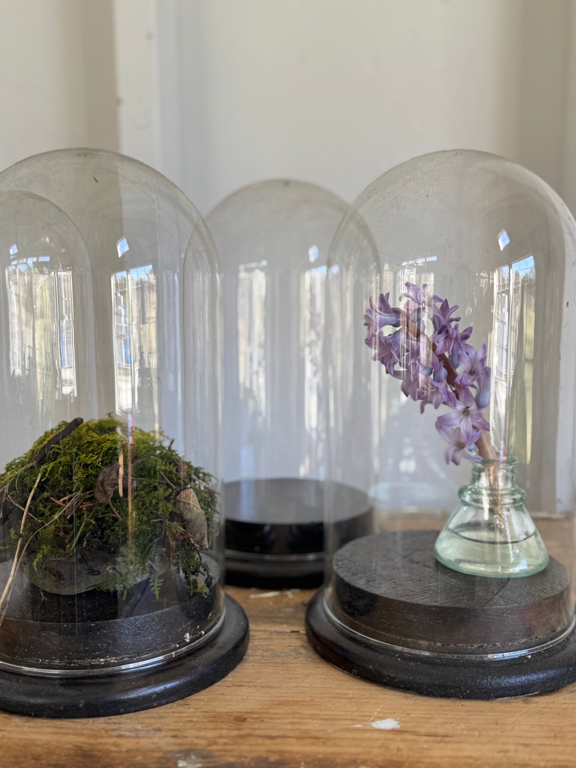 Antique Glass Bell Jar