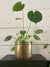 Vintage brass planter