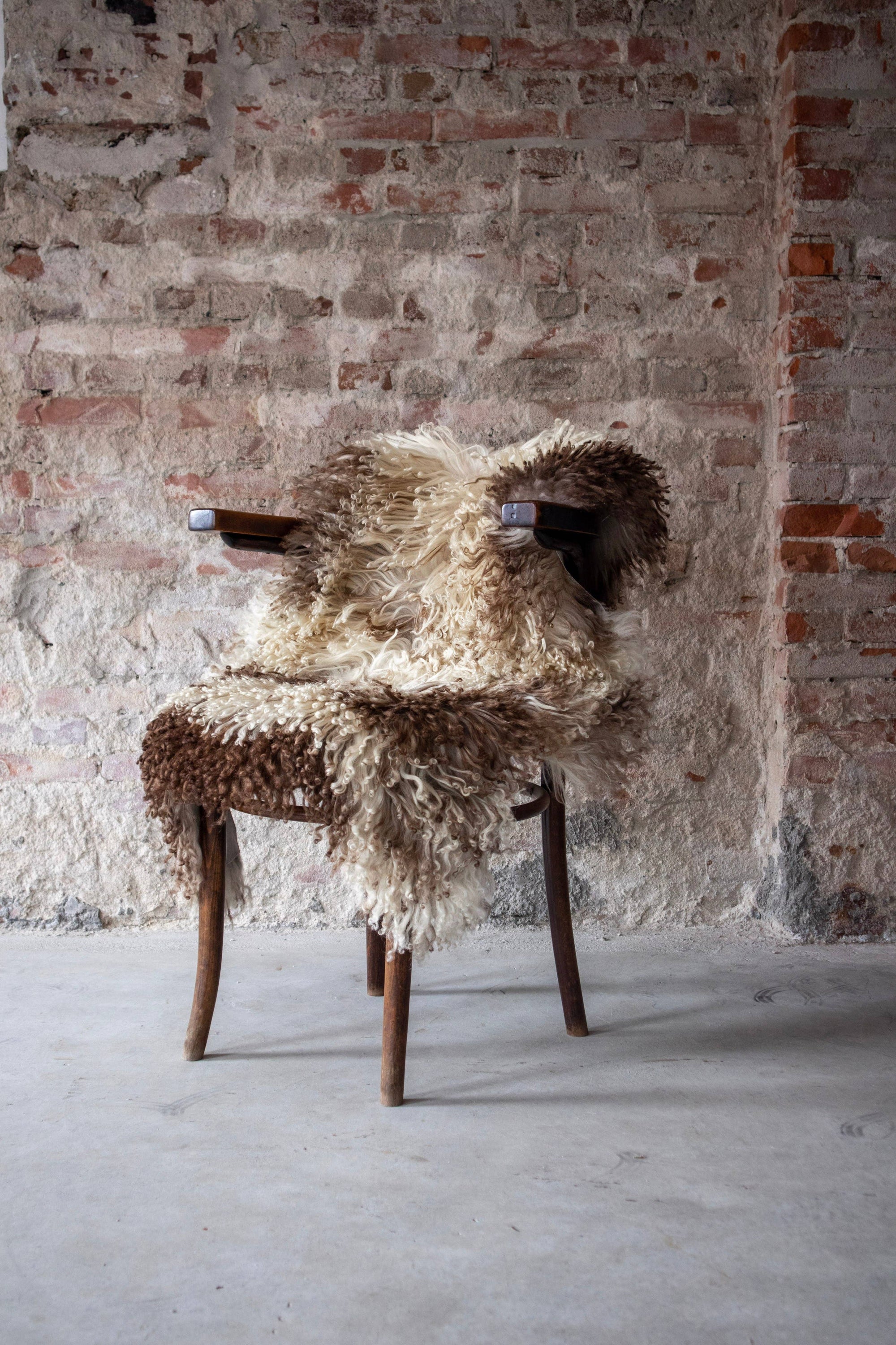 Curly Austrian Sheepskin | Natural Multi-tone | 105x60 cm