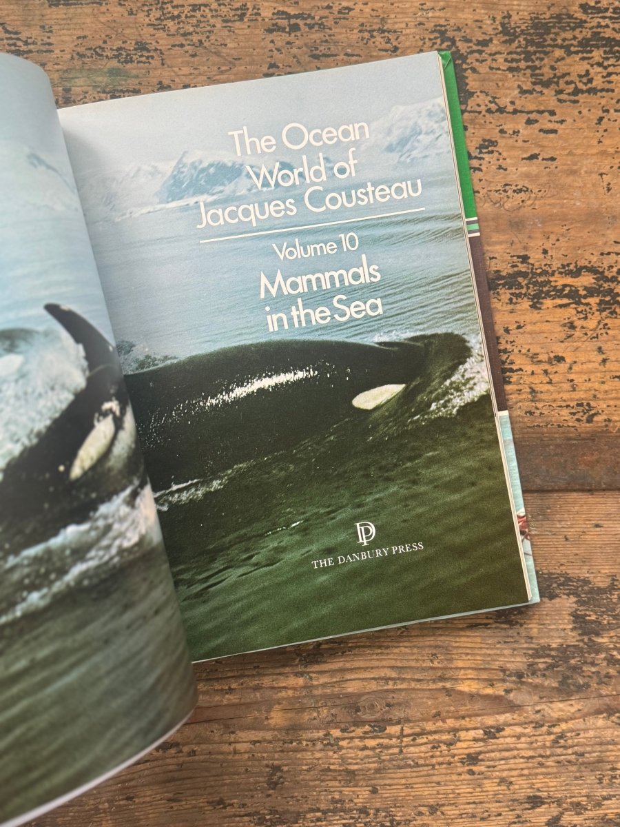 1973 The Ocean World Of Jacques Cousteau Vol 10 Book - Diamonds & Rust